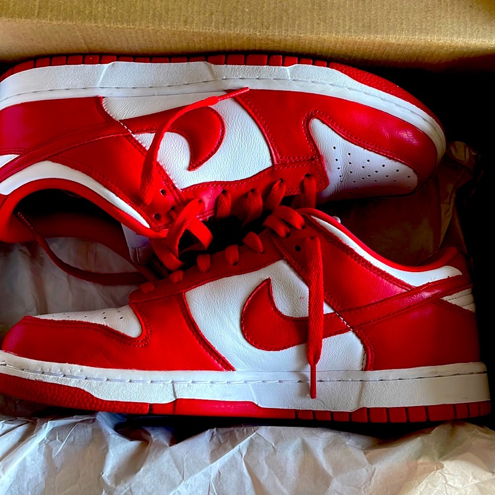 Nike Dunk Low SP